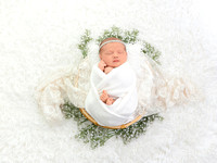Henderson Newborn Session